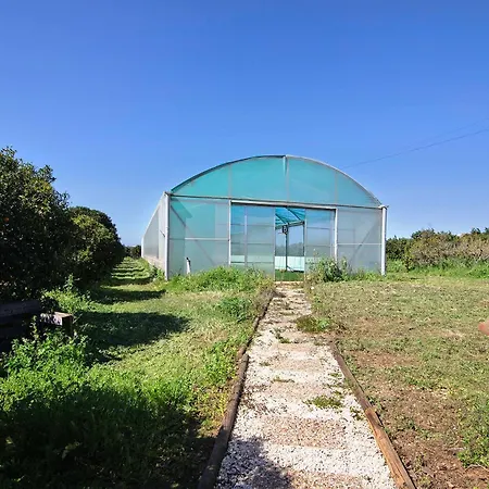 Apartmán Casa Tomilho Limao